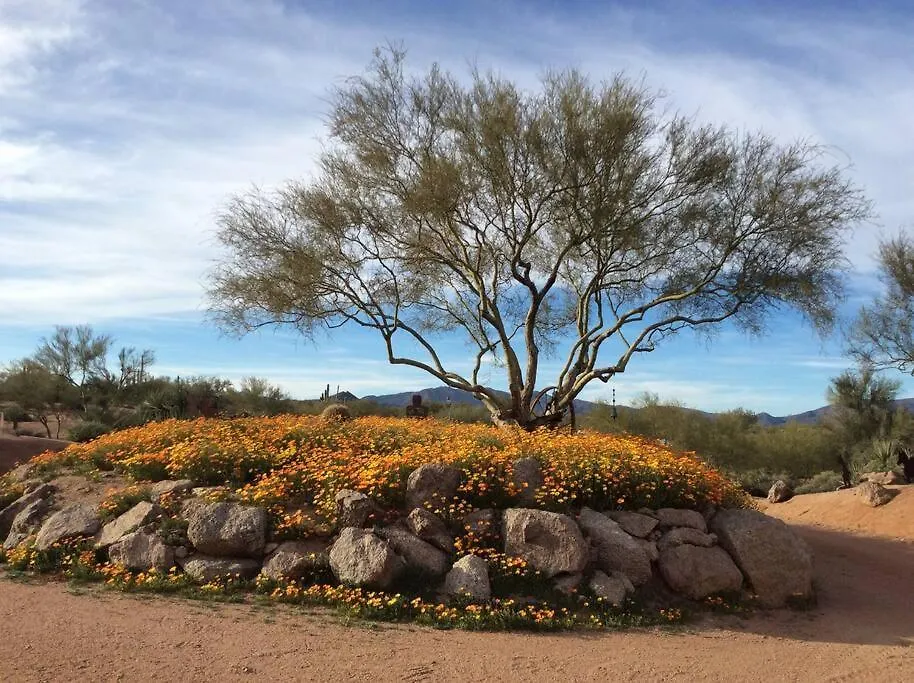 Serene & Secluded - Heart Of The Sonoran Desert Bunkhouse Casita Scottsdale 0*,