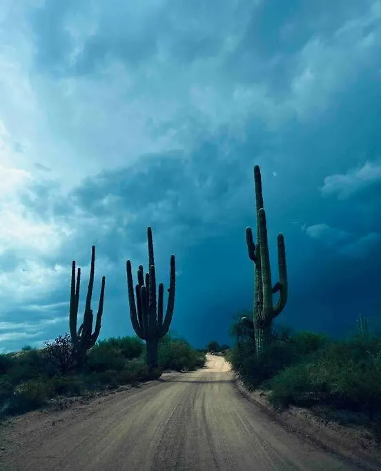 Serene & Secluded - Heart Of The Sonoran Desert Bunkhouse Casita Scottsdale