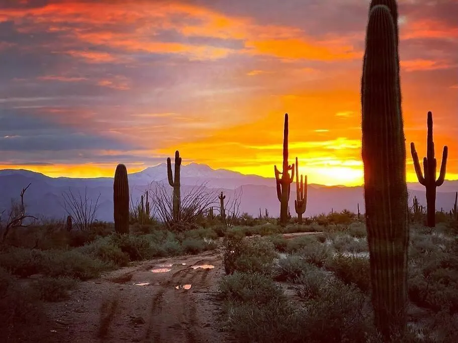 Serene & Secluded - Heart Of The Sonoran Desert Bunkhouse Casita Scottsdale 0*,