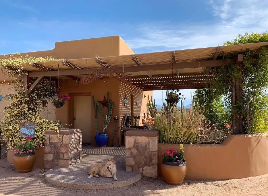 Serene & Secluded - Heart Of The Sonoran Desert Bunkhouse Casita Scottsdale 0*,