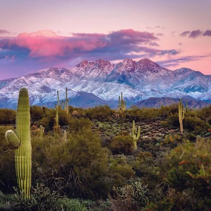 Serene & Secluded - Heart Of The Sonoran Desert Bunkhouse Casita Scottsdale Estados Unidos da América