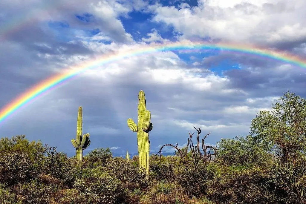Apartamento Serene & Secluded - Heart Of The Sonoran Desert Bunkhouse Casita Scottsdale