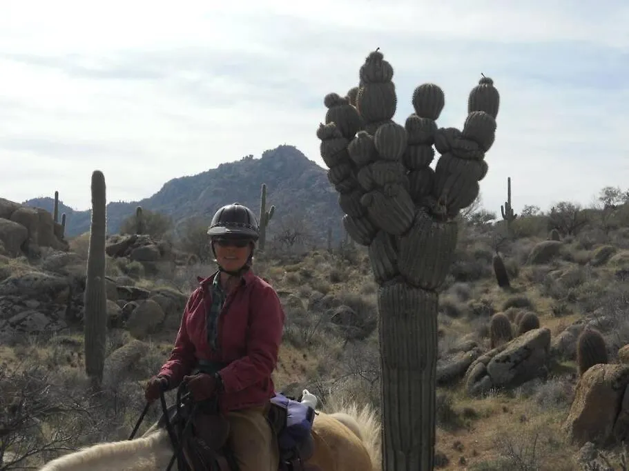 Serene & Secluded - Heart Of The Sonoran Desert Bunkhouse Casita Scottsdale Apartamento