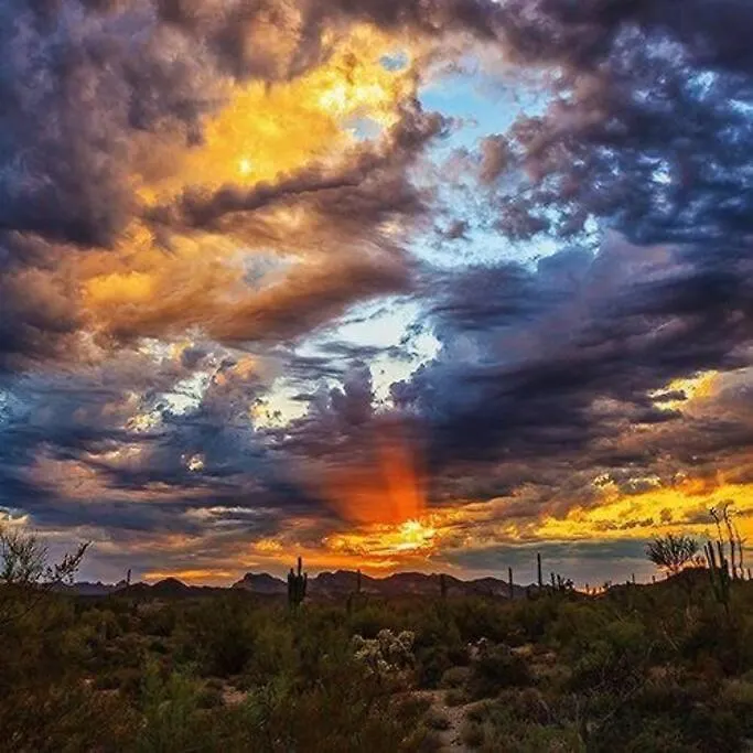 Serene & Secluded - Heart Of The Sonoran Desert Bunkhouse Casita Scottsdale 0*,  Estados Unidos da América