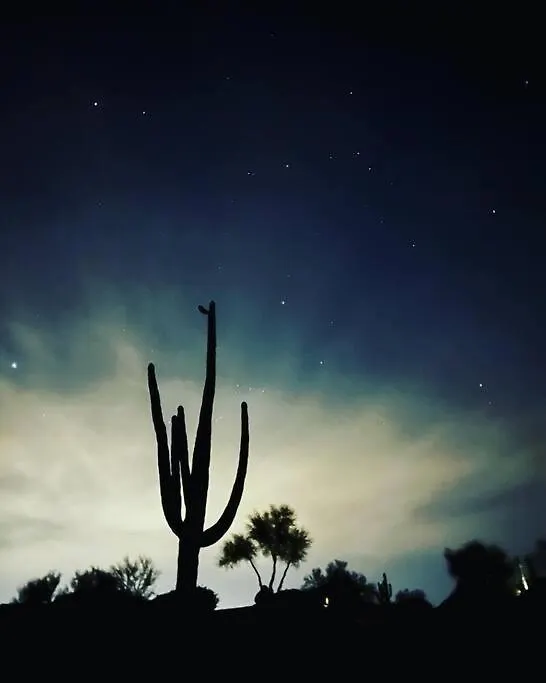 Serene & Secluded - Heart Of The Sonoran Desert Bunkhouse Casita Scottsdale 0*,  Estados Unidos da América