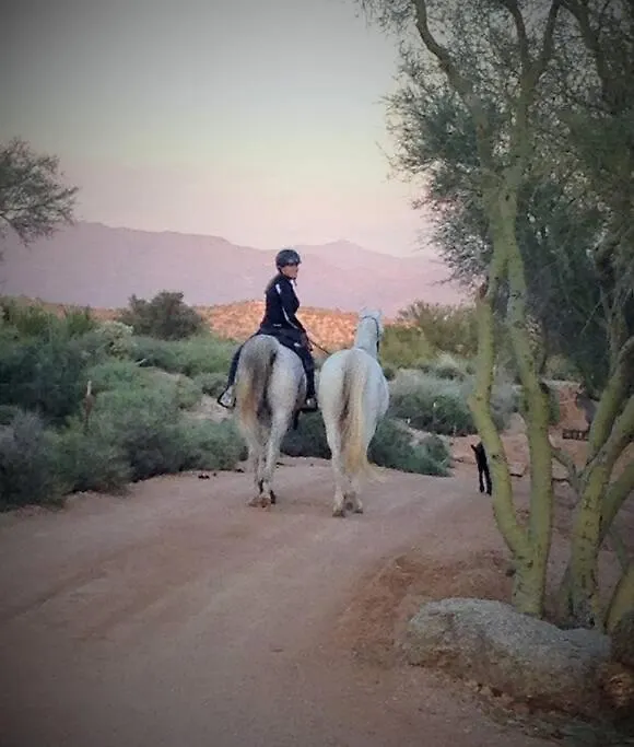 Serene & Secluded - Heart Of The Sonoran Desert Bunkhouse Casita Scottsdale 0*,