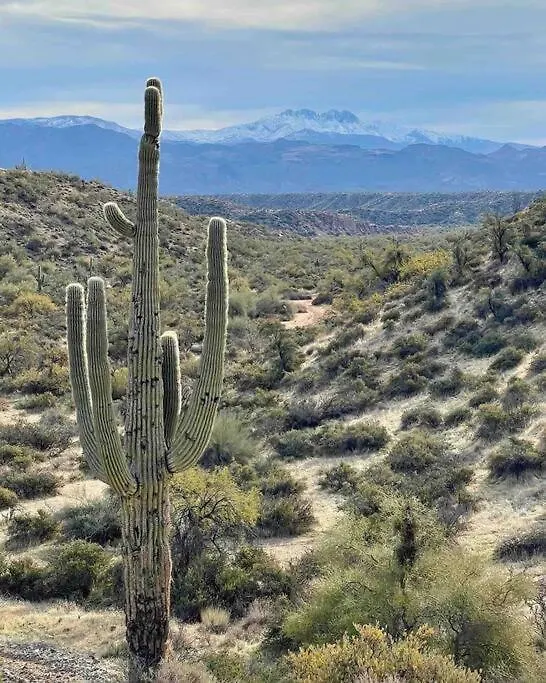 Serene & Secluded - Heart Of The Sonoran Desert Bunkhouse Casita Scottsdale Apartamento