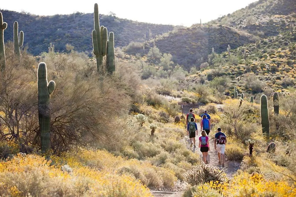 Serene & Secluded - Heart Of The Sonoran Desert Bunkhouse Casita Scottsdale