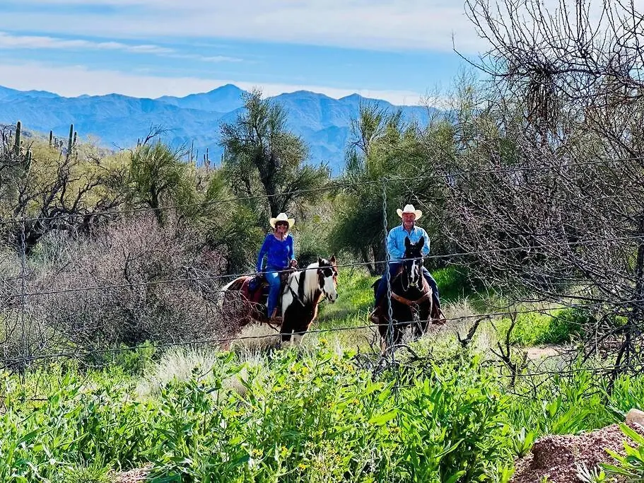 Serene & Secluded - Heart Of The Sonoran Desert Bunkhouse Casita Scottsdale Apartamento
