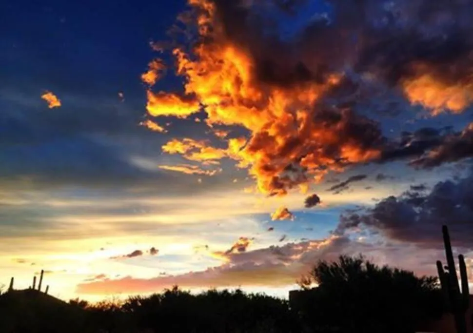 Serene & Secluded - Heart Of The Sonoran Desert Bunkhouse Casita Scottsdale